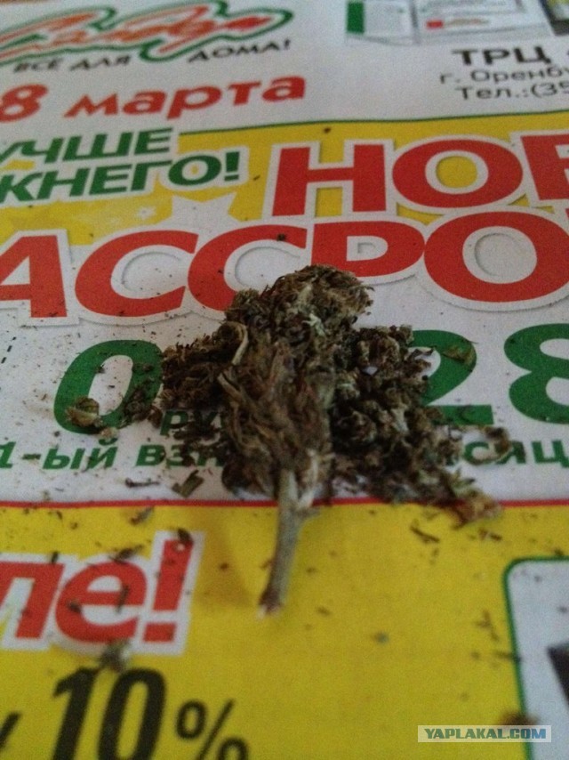 Растабацька.