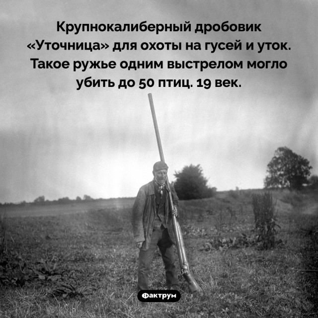 ПВО Почему сейчас дроны завоевали воздушное пространство поля боя