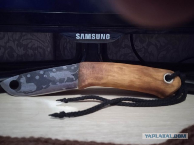 Кошачий нож