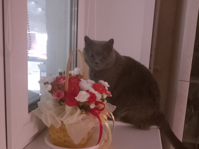 Всем Здравствуйте
