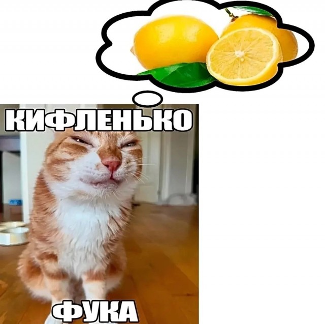 Жабогадю́кинг