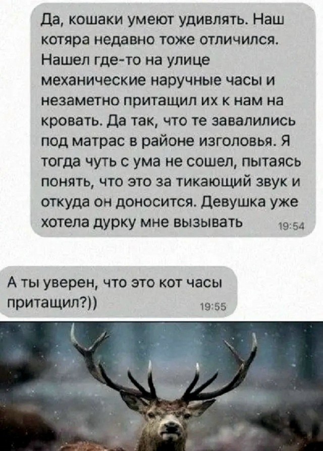Так себе картинки 13.08.26
