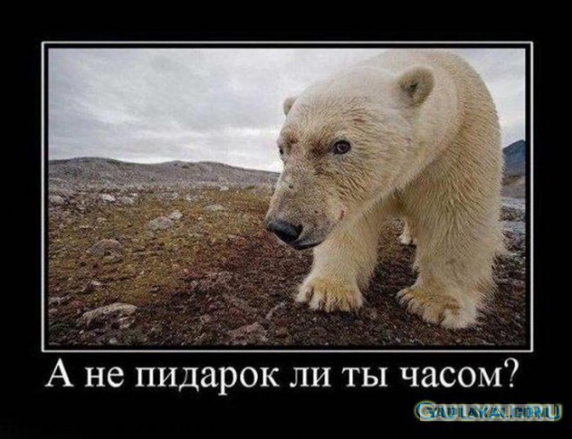 Украинский декпутат толкает речь в военкомате.