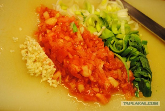 International одной книги., В память о Дженибеке.