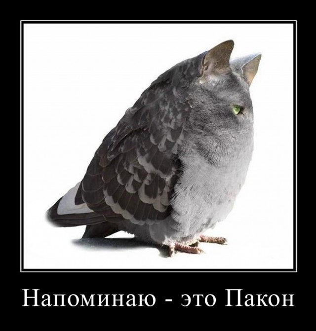Если бы генетики зло шутили