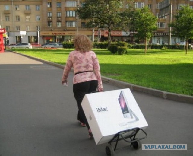 Веселые картинки