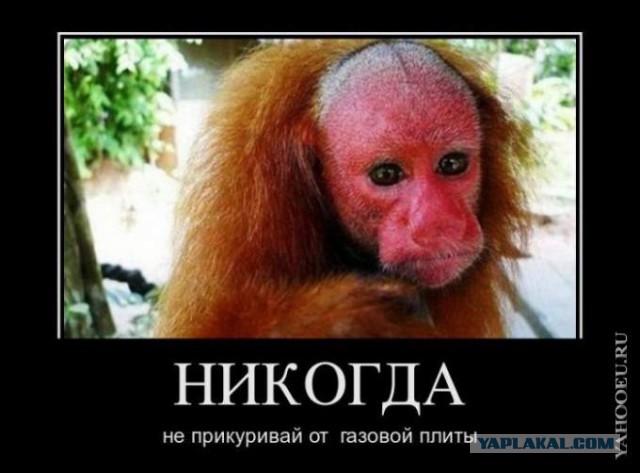 Никогда не делайте этого, слышите никогда