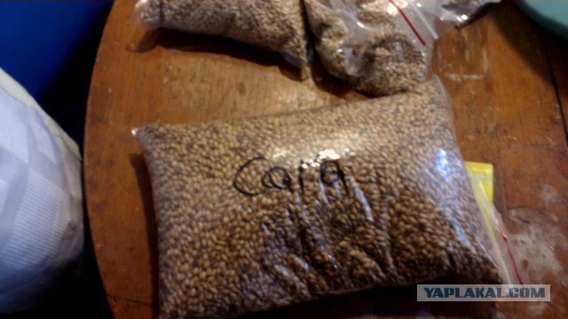 Карамелоьное домашнее пиво от "а " до " я"