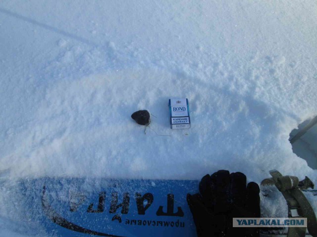 Жутко громко и запредельно близко