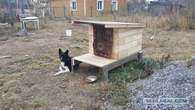 Будка для собаки своими руками.