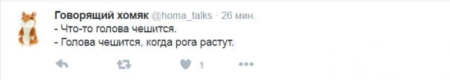Смешные комментарии 24.07.2016