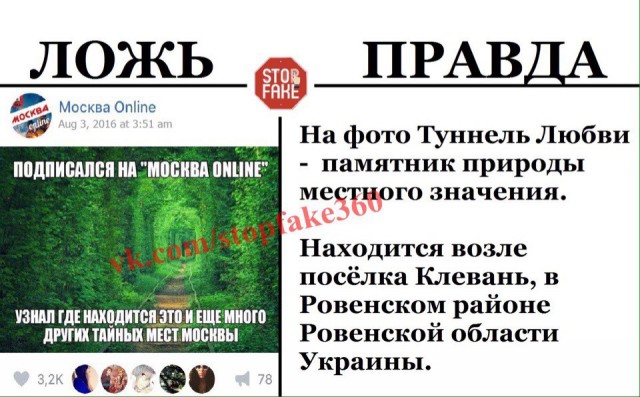 В интернете могут врать?