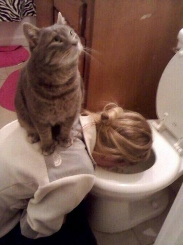 Прикольные картинки