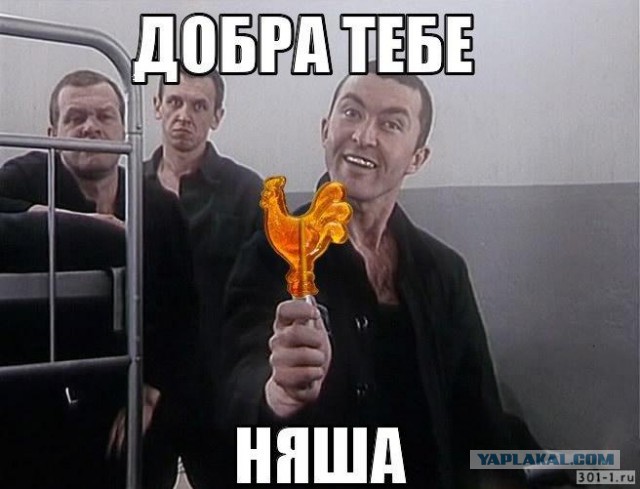 Павлодарские полицейские нашли девиц, насмехавшихся над ними