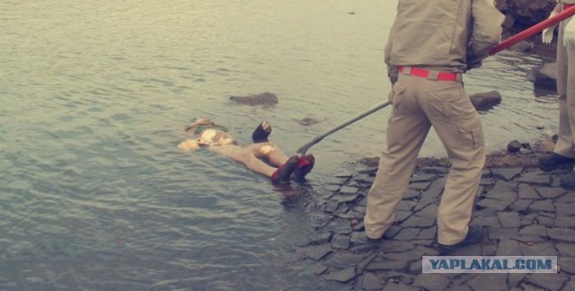 Девочки разные под водой