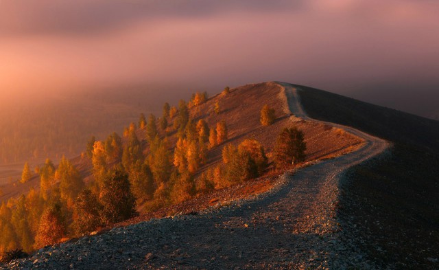 Фото интересные и не только