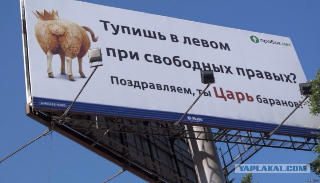 Учитель на путепроводе Московского шоссе, перед Азс Кириши