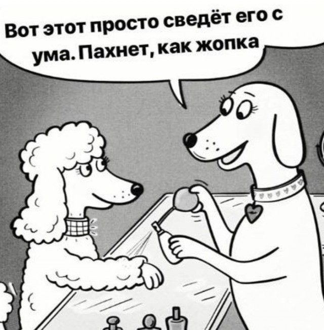 Тупанём?