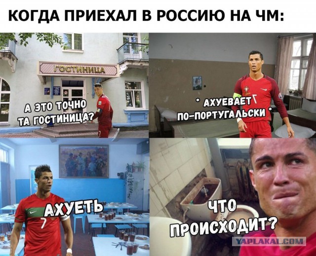 Болельщиков ужаснули гостиничные номера в России