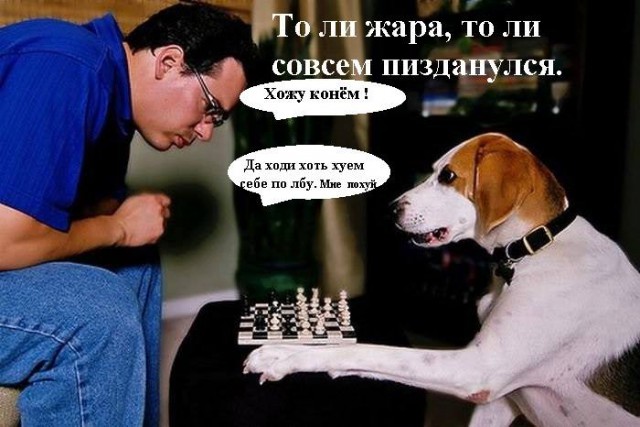 Новости деградации