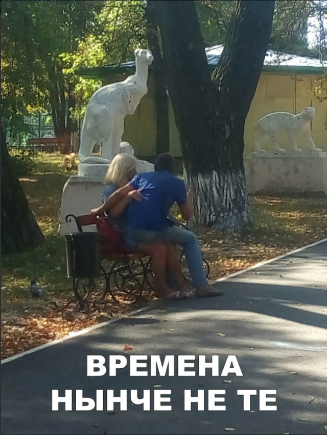 Прикольные картинки абавсём