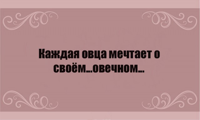 Хватит о политике