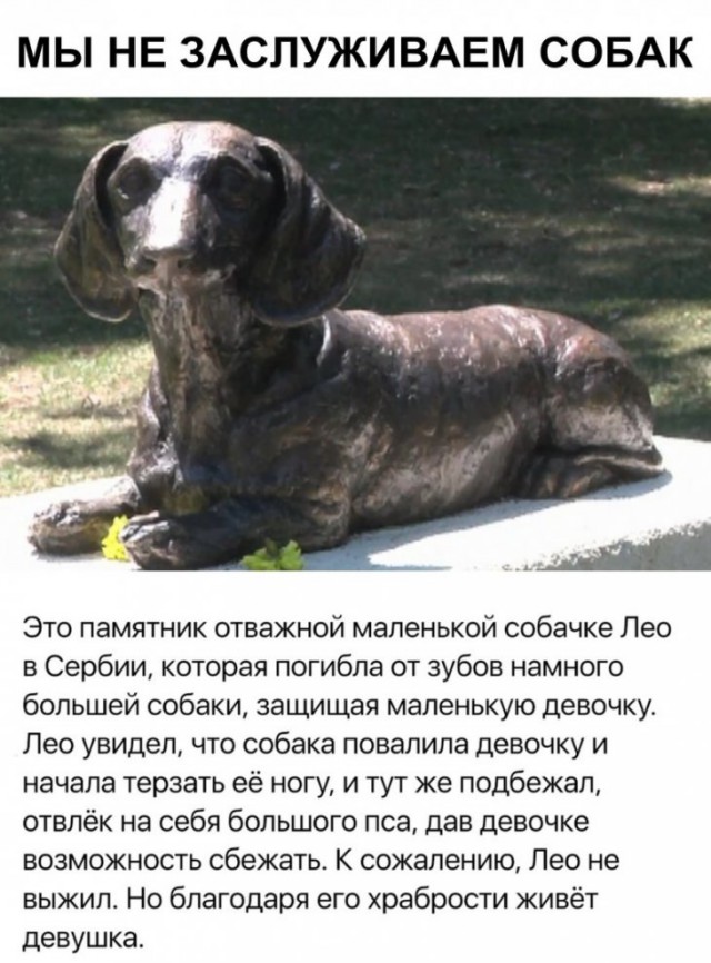 Немного картинок для настроения