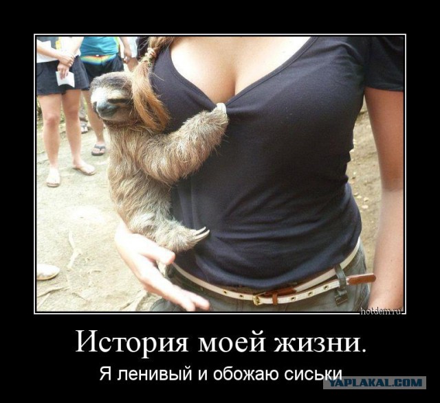 Клуб одиноких сердец