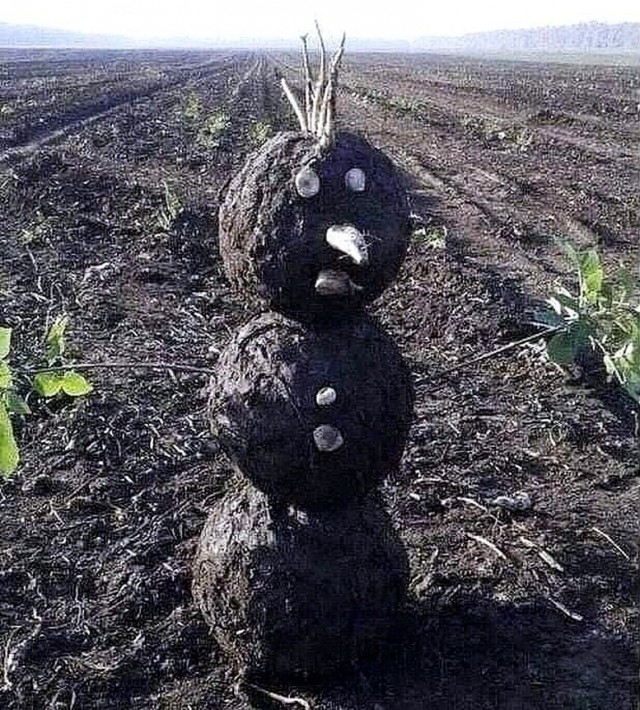 Подеградируем