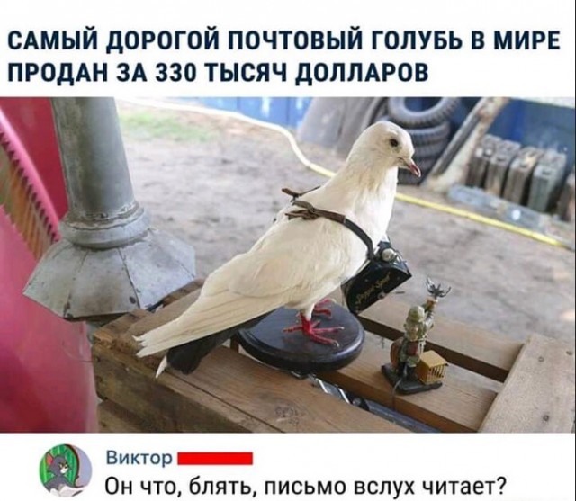 Пара-пара-пам! Фьють! От 18.04.2020