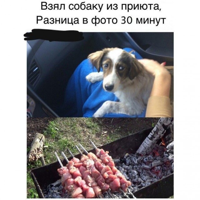 Среда с оттенками коричневого