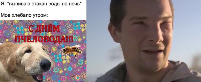 Немного картинок для настроения 25.05.20