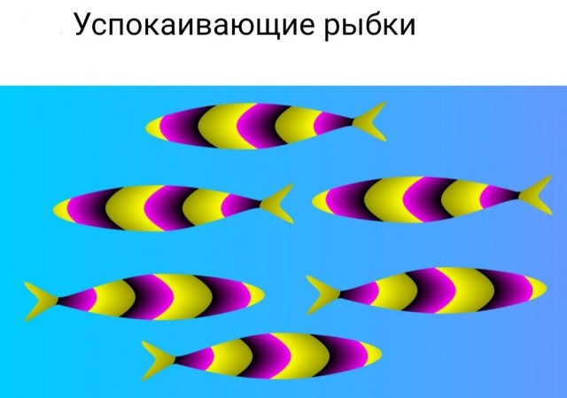 Бредзона 22.09.2020