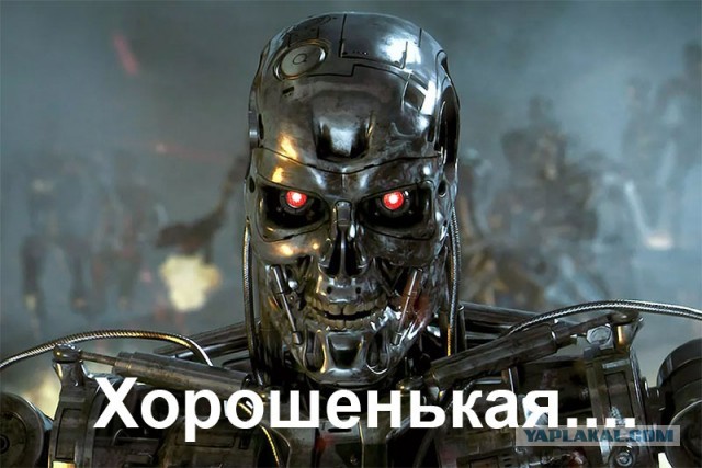 Нововоронежской Алёнке нашли нового хозяина. Монумент будет стоять у главы «Спортцентра»