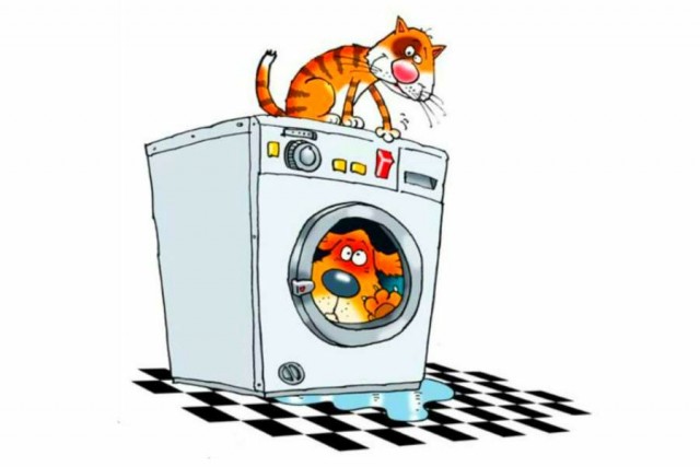 С котопятницей! Улыбнемся?