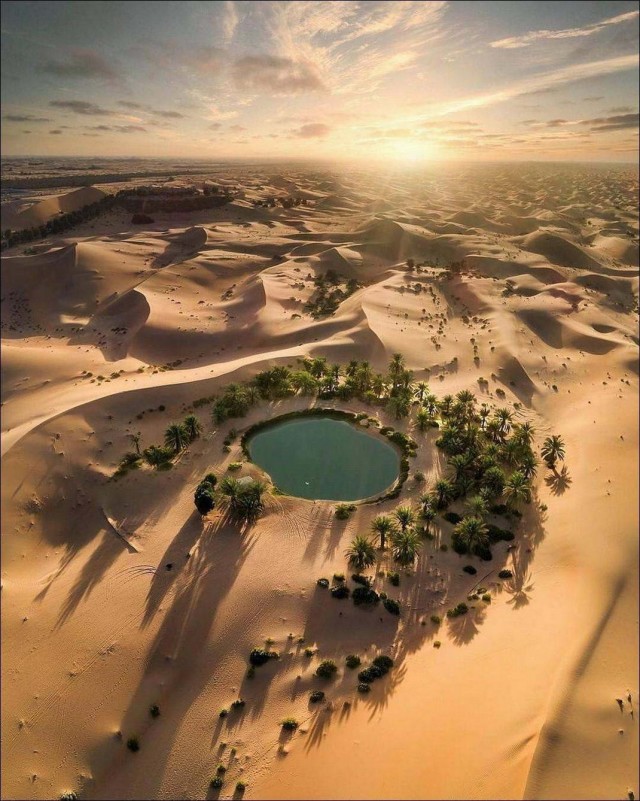 Красота фотографии