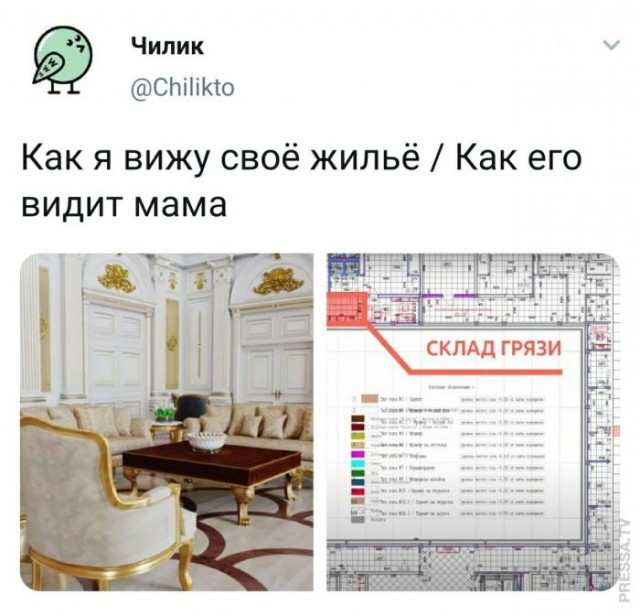 Картинки и мемы для настроения 021