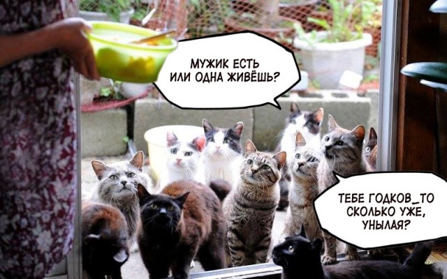 Операция "Деградация", часть вторая