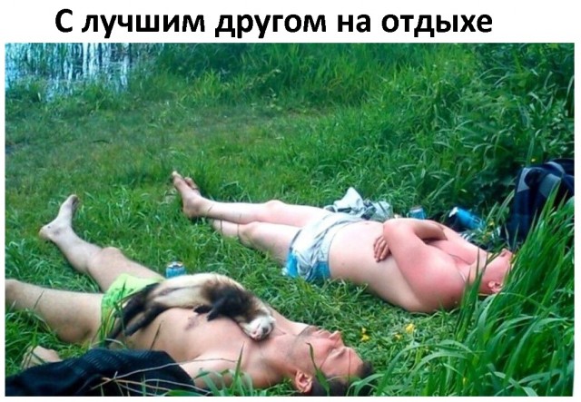 Дебилизмы из сети Night Edition 27.02.21