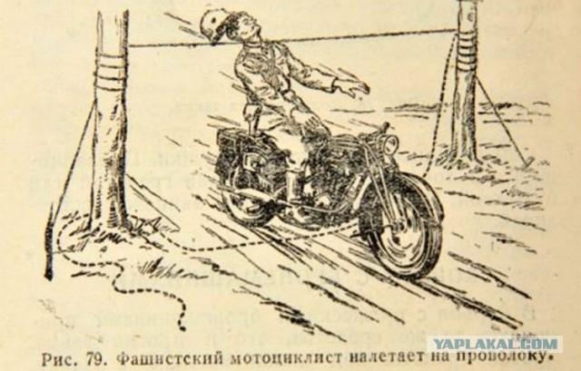 Что в головах у людей?