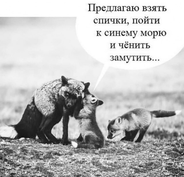 Картинки и мемы для настроения 08.09.2021