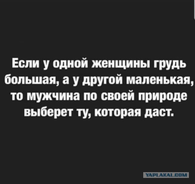 "Раз такие дела - показывайте сиськи! Будем выбирать... " (с)