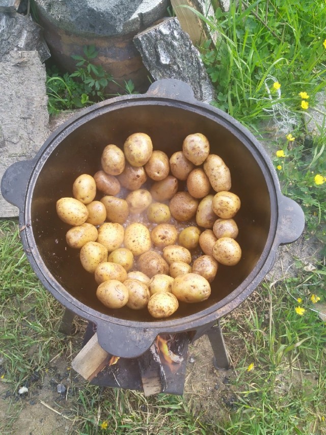 Нищебродам на заметку. Что муслиму харам, то славянину нямка. часть 8