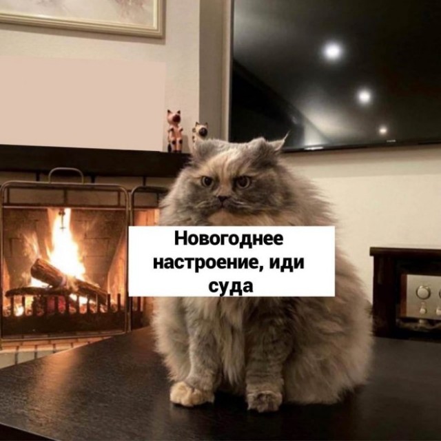 Картинки и мемы для настроения
