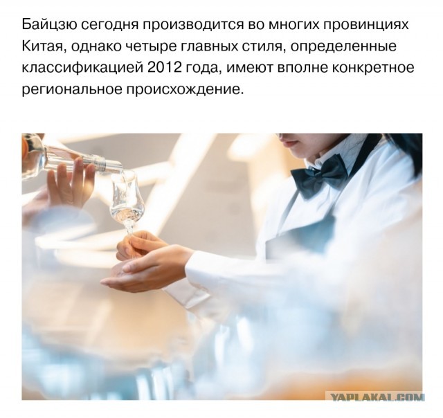 Байцзю: самый популярный крепкий алкоголь в мире