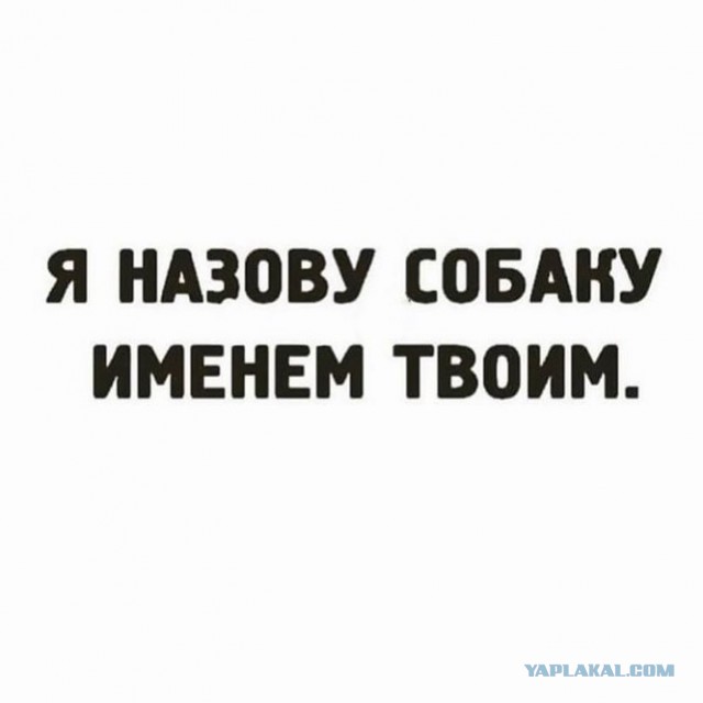 Картинки 12.02.22