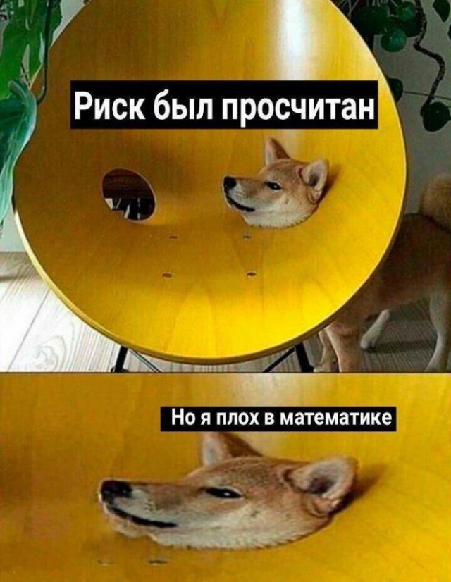 Картинки и мемы для настроения, выходные не за горами