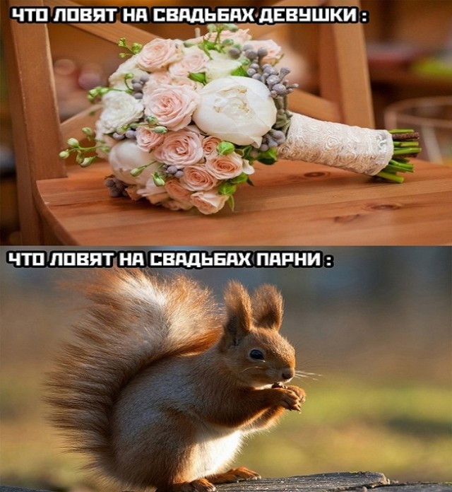 Картинки и мемы для настроения - 19