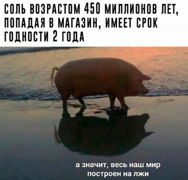 Картинки и мемы для настроения - 21