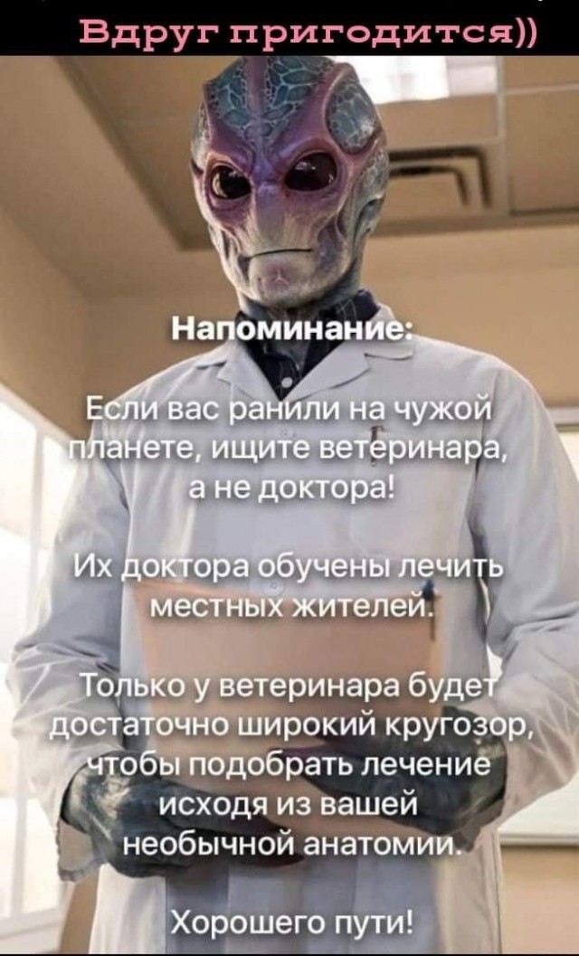 Деградация лайт 13.10.2022